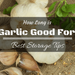 How Long is Garlic Good For? With Best Storage Tips