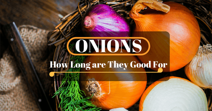 Onions How Long are They Good For? | Taste Insight