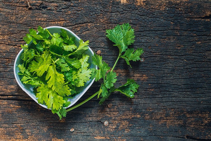 12 Coriander Substitute Choices That You Need to Know! - Taste Insight