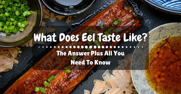 What Does Eel Taste Like The Answer Plus All You Need To Know