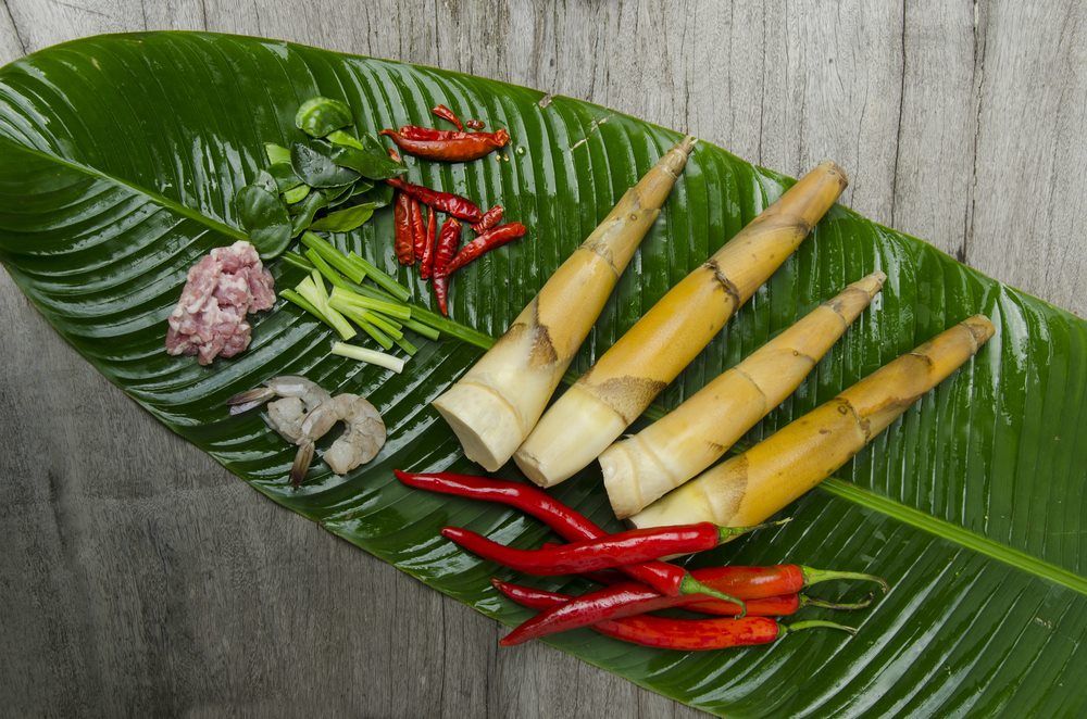 interesting-facts-and-how-to-cook-bamboo-shoots-taste-insight