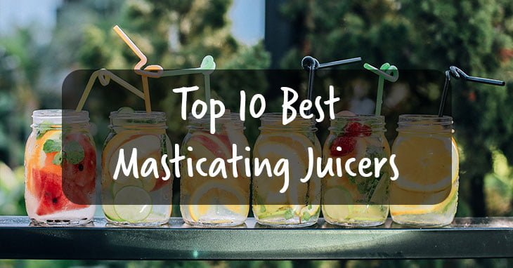 10 Best Masticating Juicers in 2024 Reviews